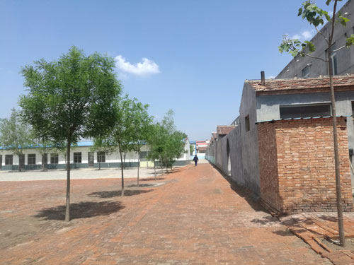 德州健之源專(zhuān)業(yè)承接袋泡茶oem加工,袋泡茶加工,袋泡茶代加工袋泡茶oem加工,袋泡茶加工,袋泡茶代加工...等等為您提供一站式全方位的服務(wù)，從原料、配方、包裝等一切由雙方協(xié)商解決?，F面向全國承接各類(lèi)袋泡茶保健茶批發(fā)制作來(lái)料加工、包工包料。
