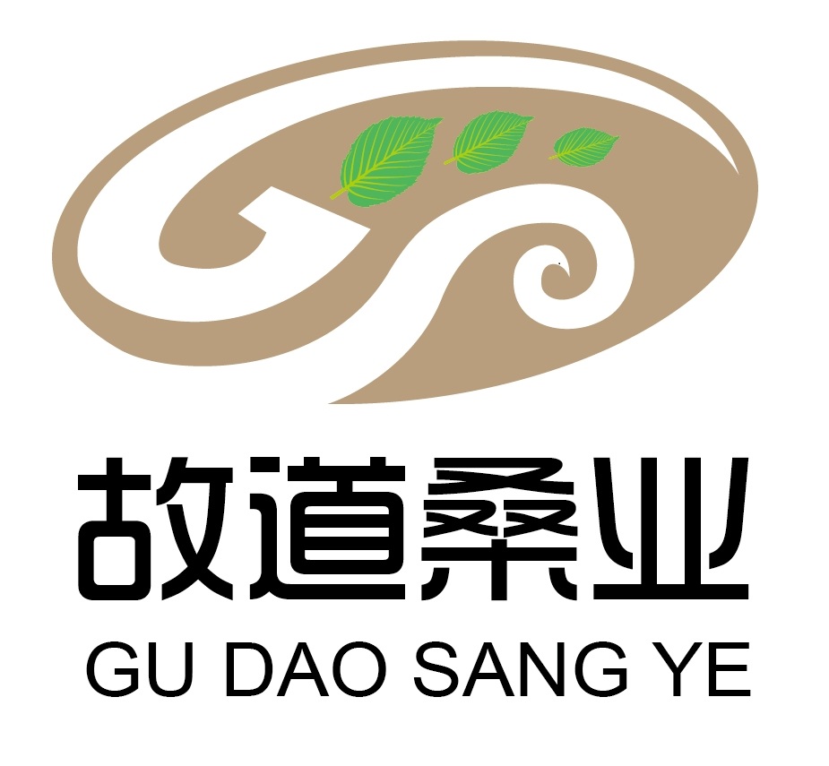 喝茶就可以防脫生發(fā)，太神奇了！桑葉養生茶