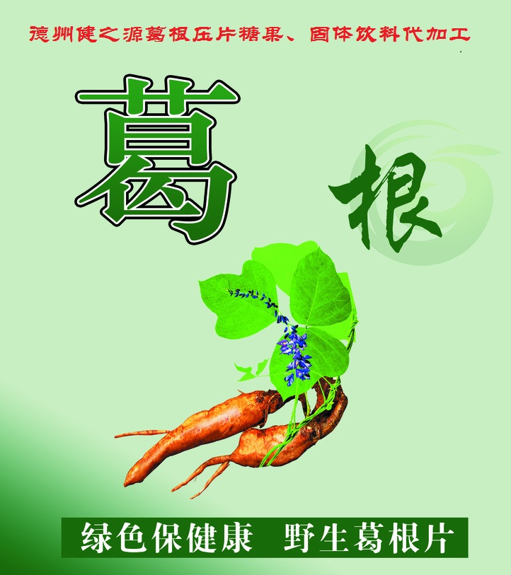 葛根，男女通用的人體調理專(zhuān)家