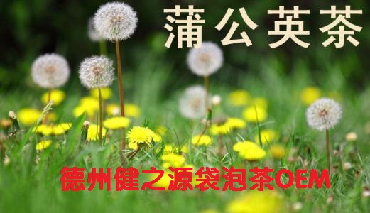 蒲公英茶，今天您喝了嗎？