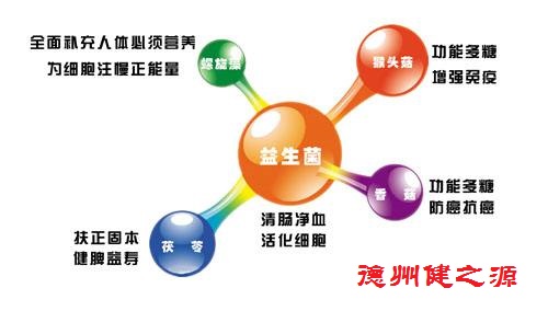 夏天腸胃問(wèn)題頻發(fā)，您應該用益生菌了