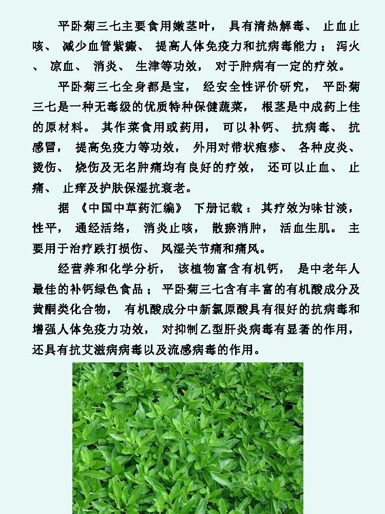 山東保健品生產(chǎn)加工廠(chǎng)家-德州健之源