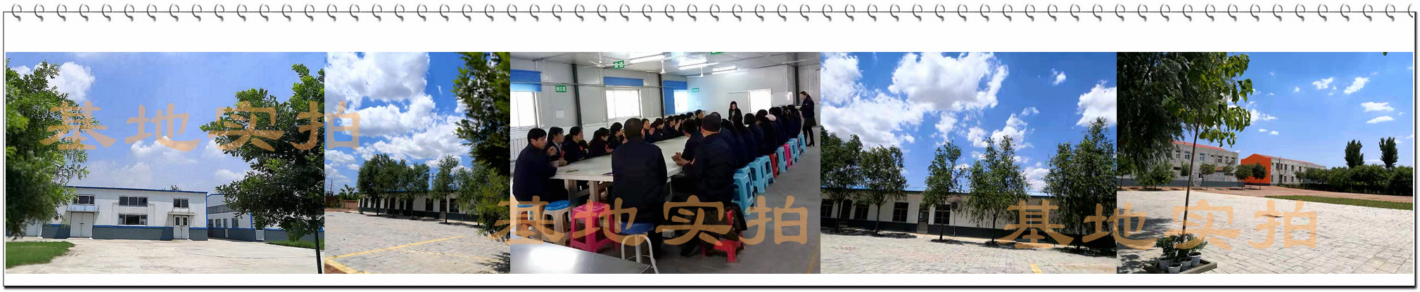 保健品代加工廠(chǎng)_山東蛹蟲(chóng)草壓片糖果貼牌SC認證_德州健之源