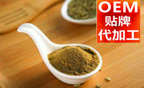 固體飲料貼牌廠(chǎng)家-代加工價(jià)格與費用-德州健之源
