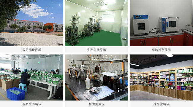 代餐粉代加工廠(chǎng)家車(chē)間以及設備-德州健之源